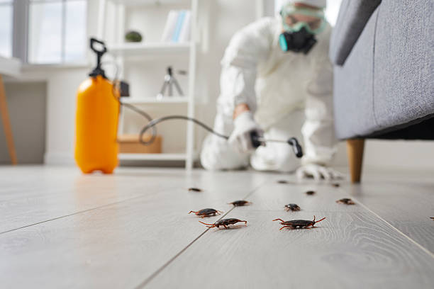 Trusted Cockroach Control service in Jesup, IA - Nex Pest Control